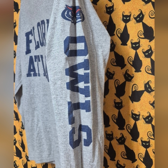 Champion Gray Florida Atlantic University Long Sleeve T-Shirt - Picture 4 of 8